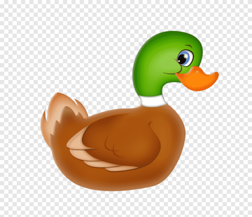 Утка