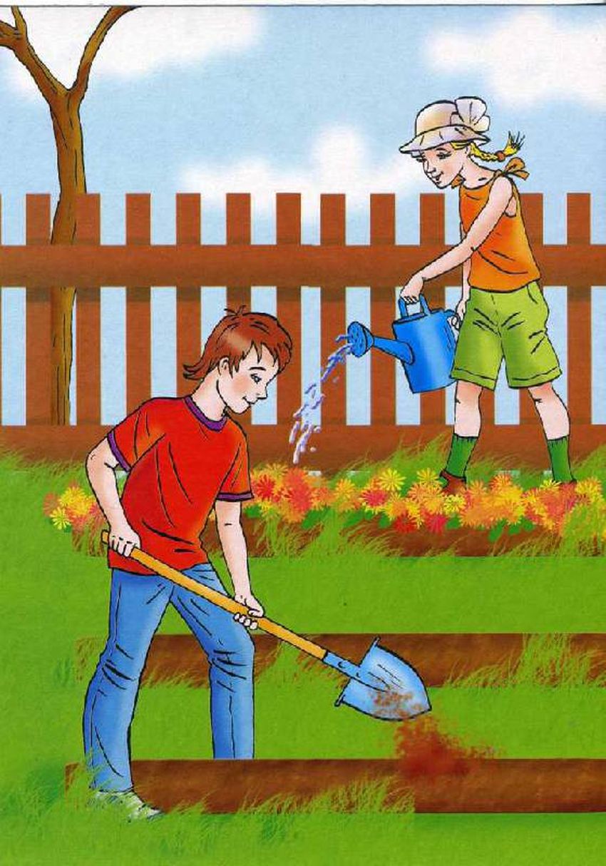 Труд в огороде весной Рисунок труд