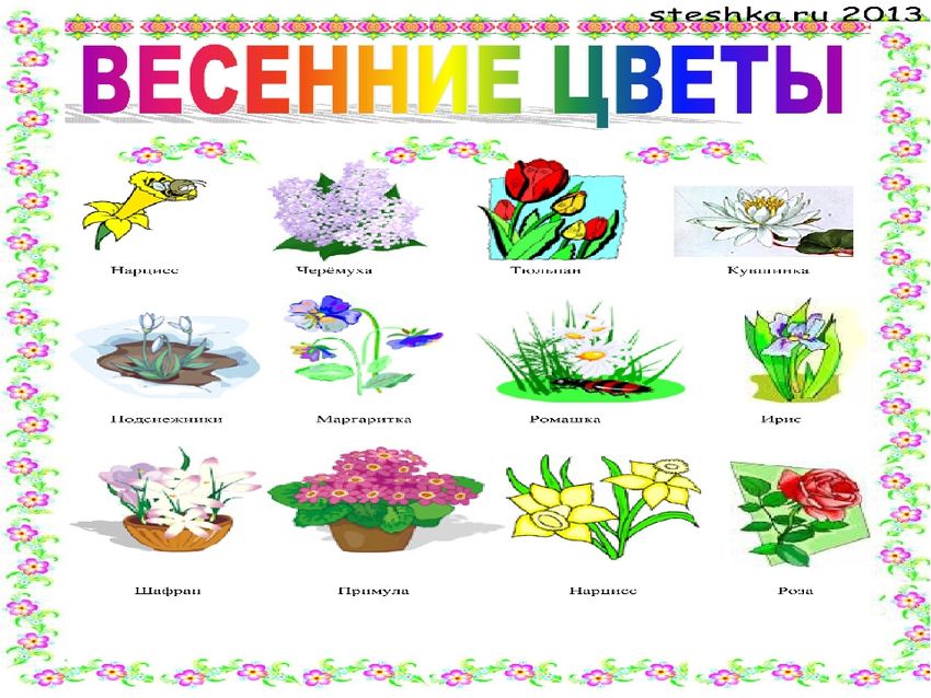 Цветы карточки для детей