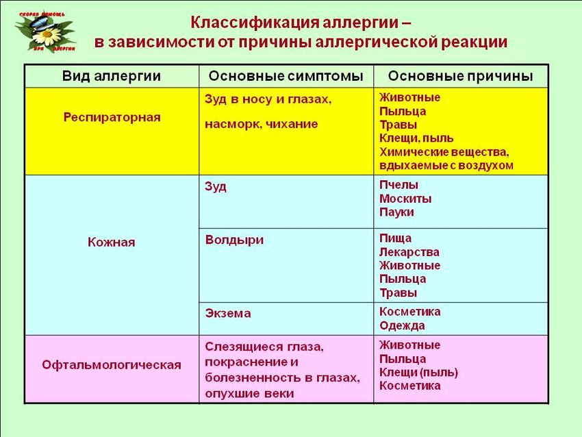 Определите виды аллергических реакций Основные аллергены