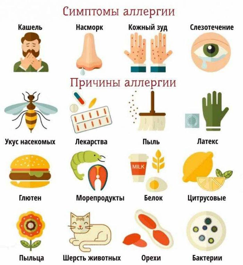 Аллергия Продукты вызывающие аллергию