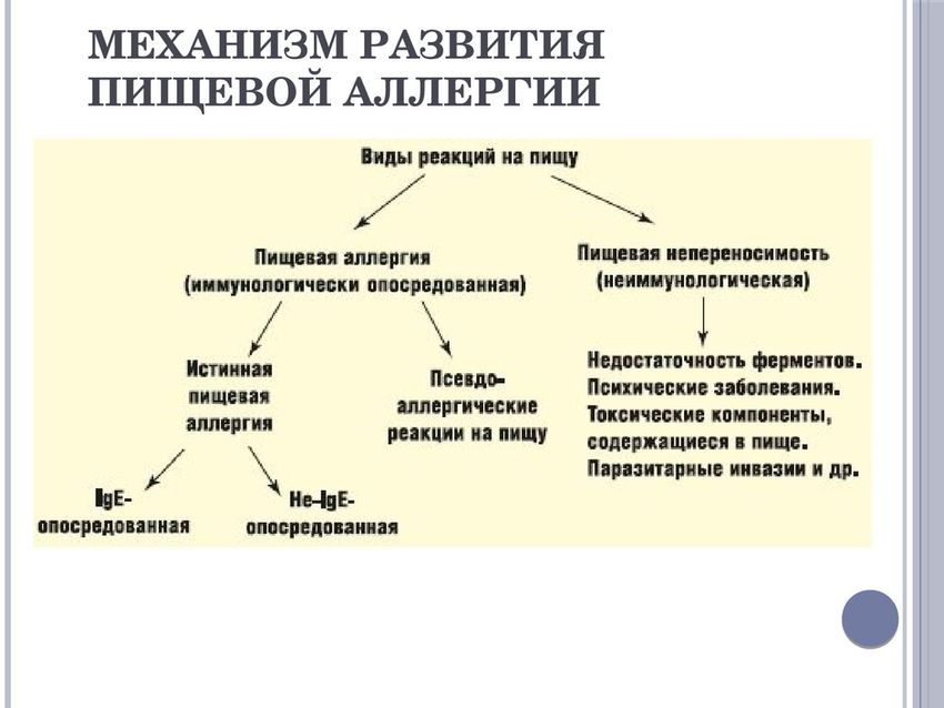 Механизм развития пищевой аллергии Виды пищевой аллергии