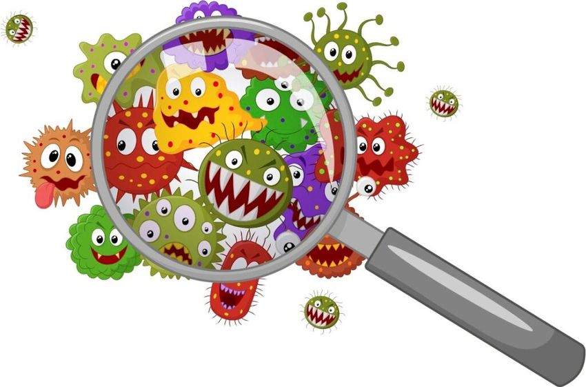 Микробы для детей