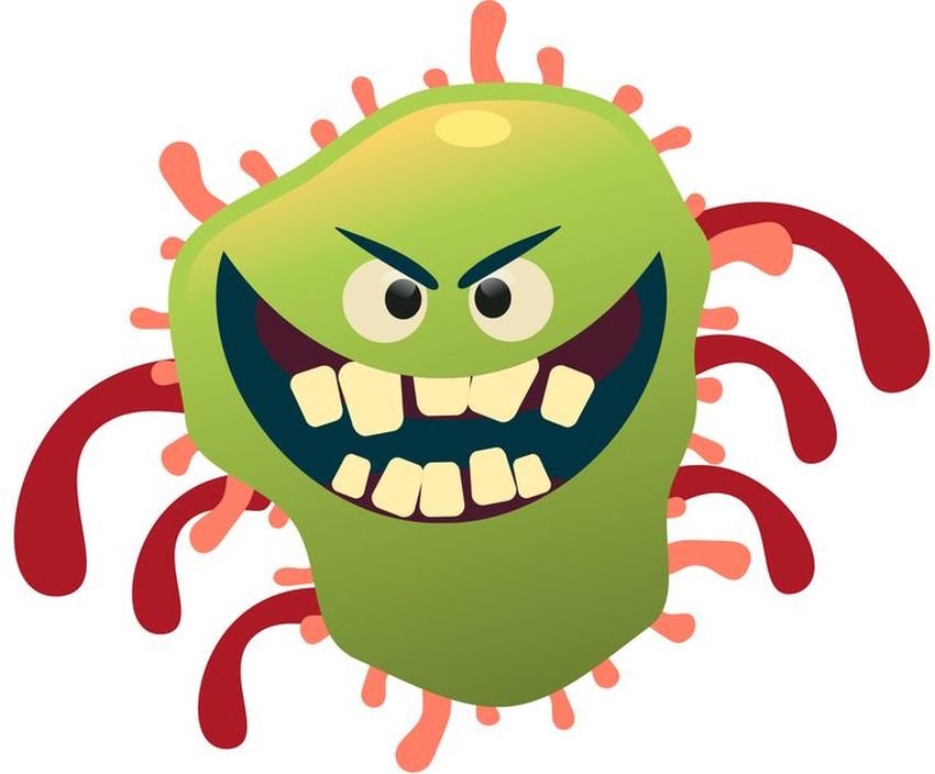 Вирусы и микробы