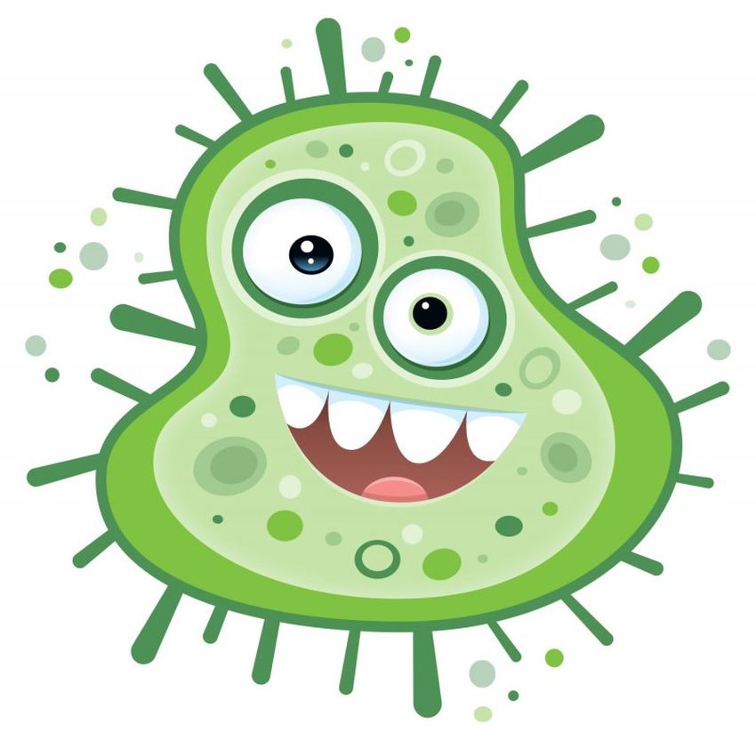 Веселые бактерии