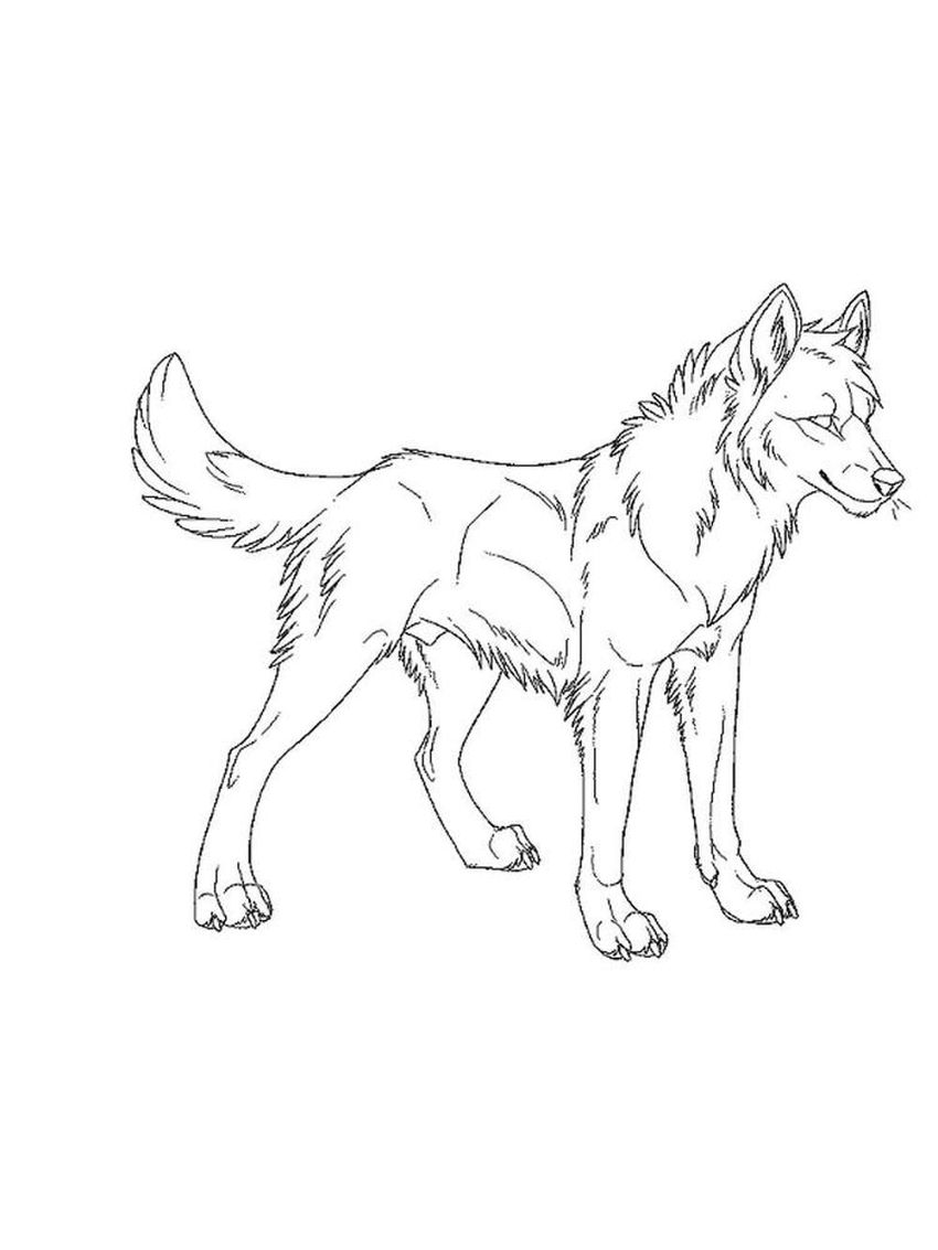 Рисунок волка