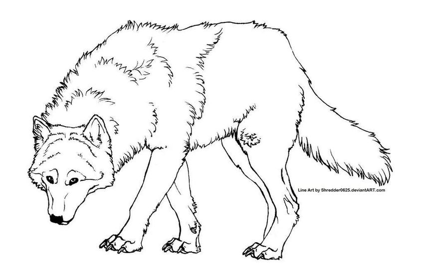 Раскраска волк для детей