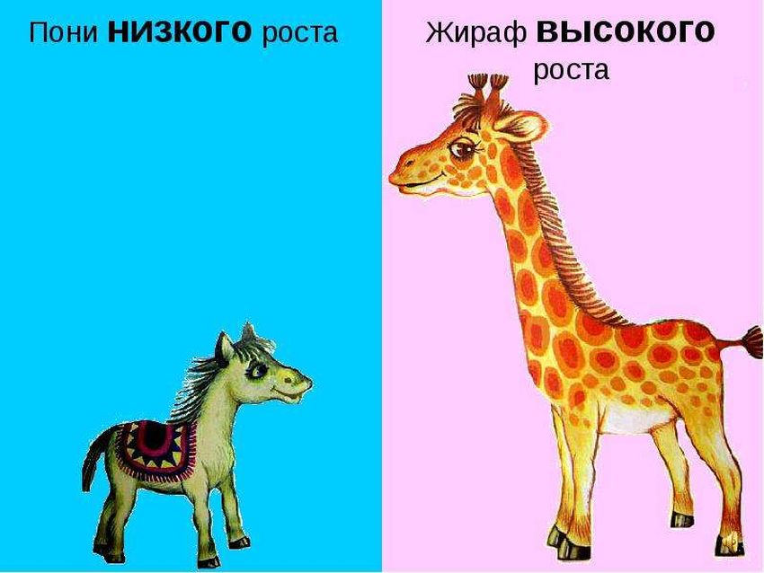 Высокий низкий для детей