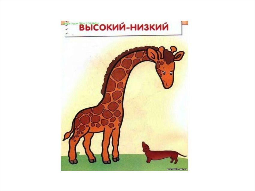 Высокий низкий для детей