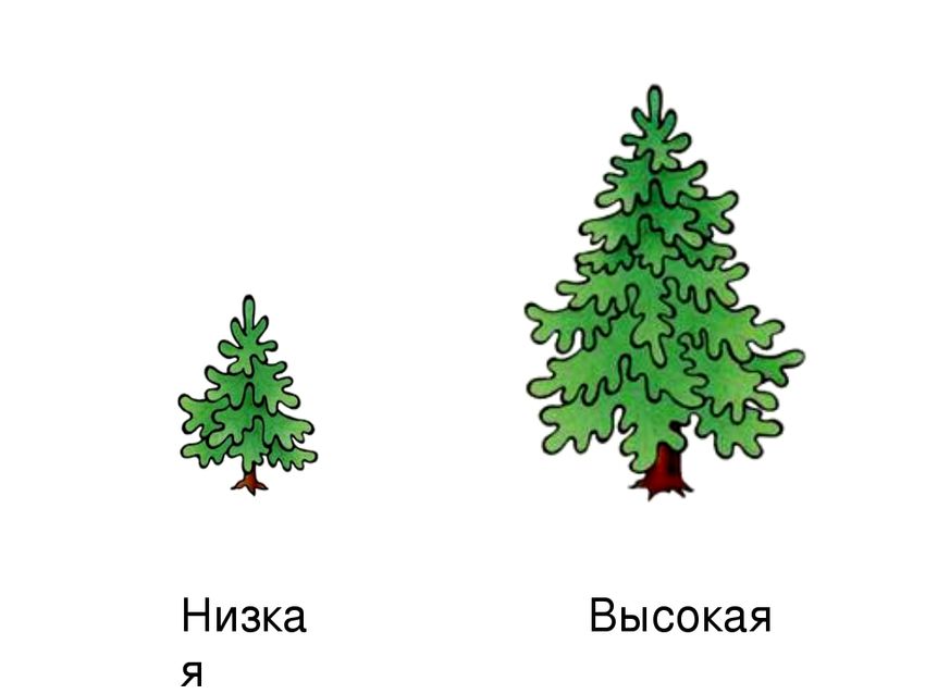 Елочки разной высоты