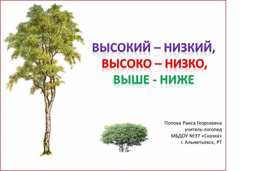 Высокое и низкое дерево