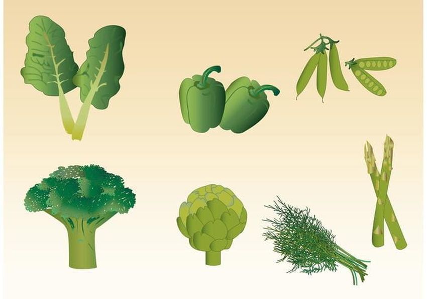 Овощ зеленого цвета