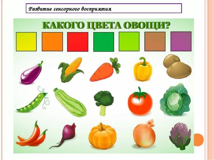 Овощи и фрукты для дошкольников