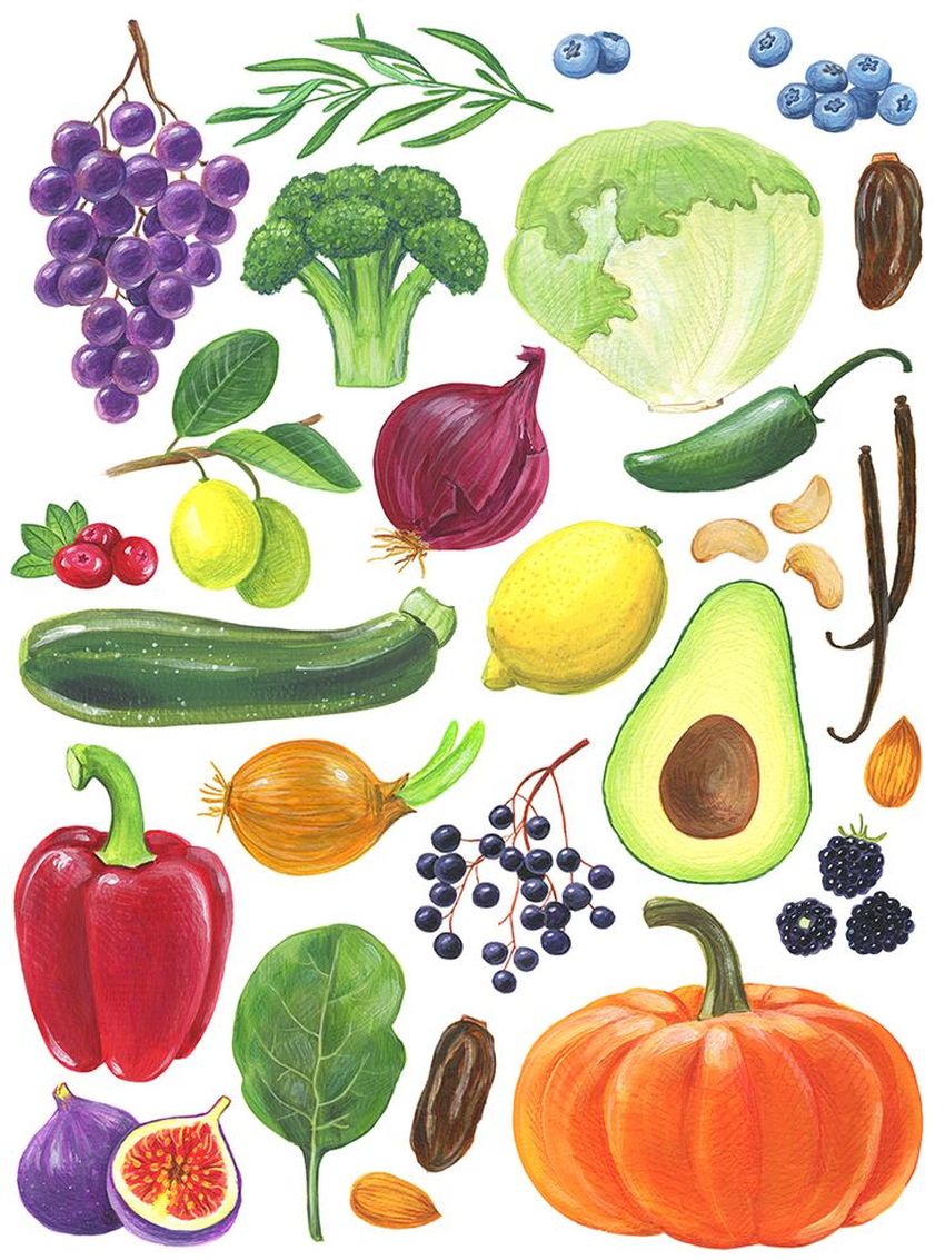 Рисунки овощей