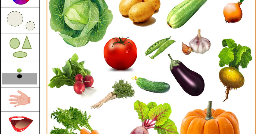 Какие бывают овощи