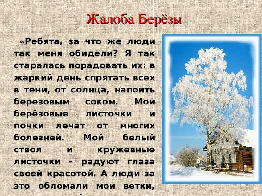 Есенин береза Жалобы от природы