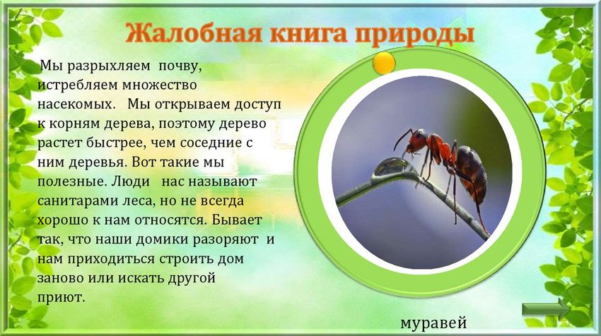 Жалобная книга природы Жалобная книга