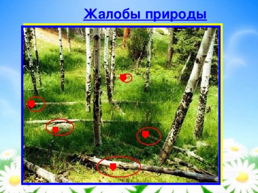 Жалобная книга природы Жалобная книга