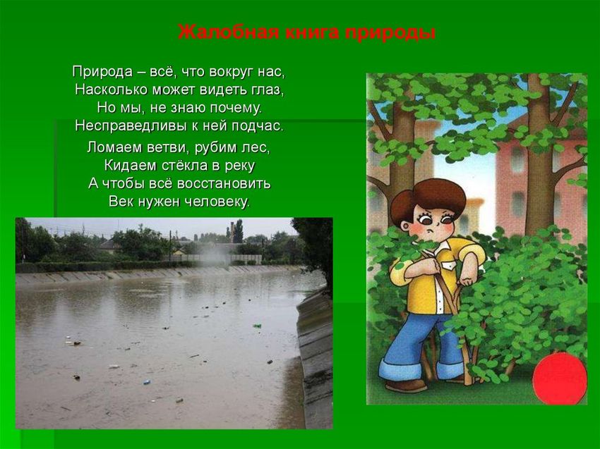 Жалобная книга природы Жалобная книга