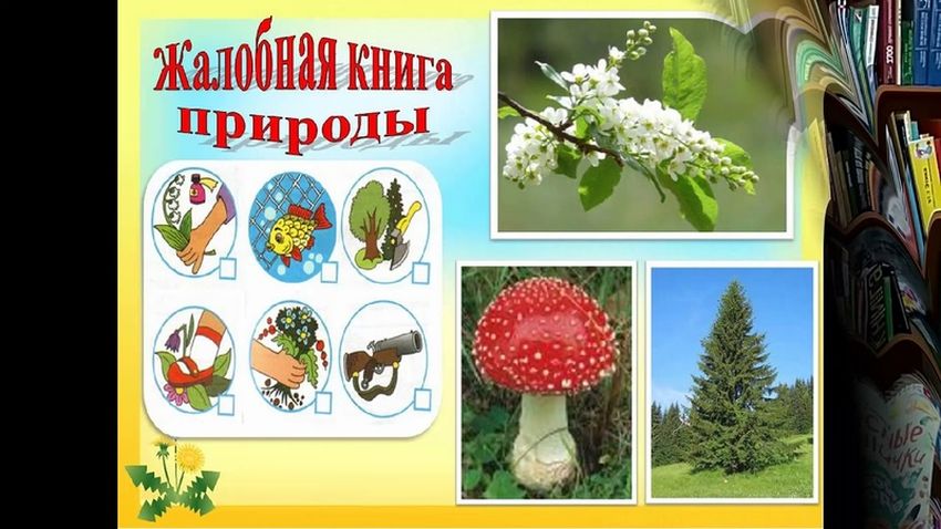 Жалобная книга природы в картинках для детей