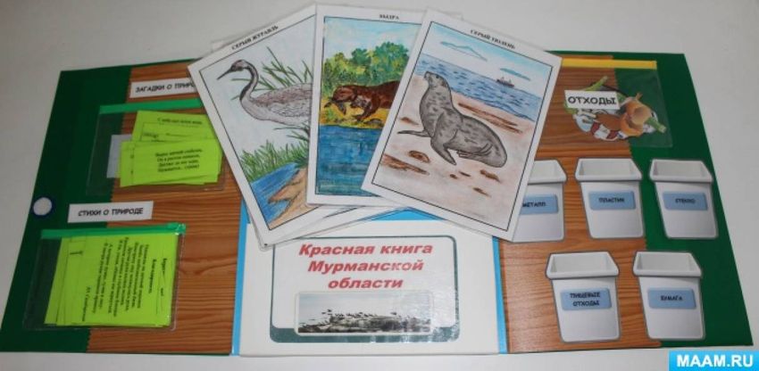 Лэпбук белый медведь Лэпбук животные севера