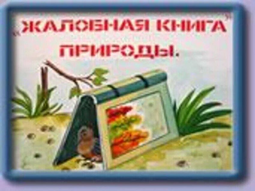 Проект жалобная книга природы Жалобная книга природы