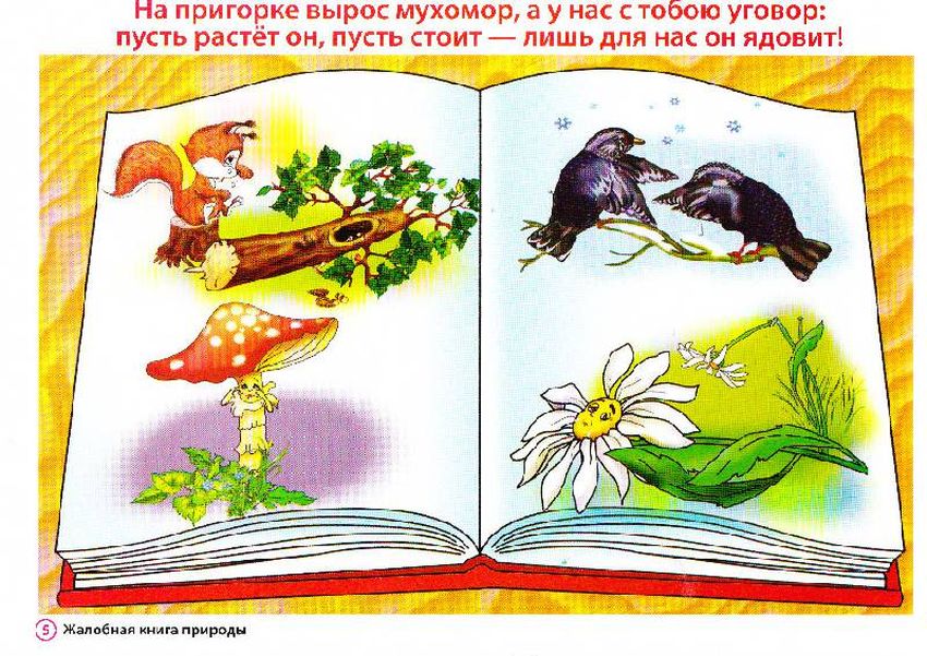 Книга сказок в. сутеева Золотая книга сказок в рисунках в. сутеева