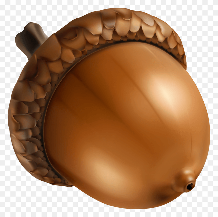 Желудь рисунок для детей