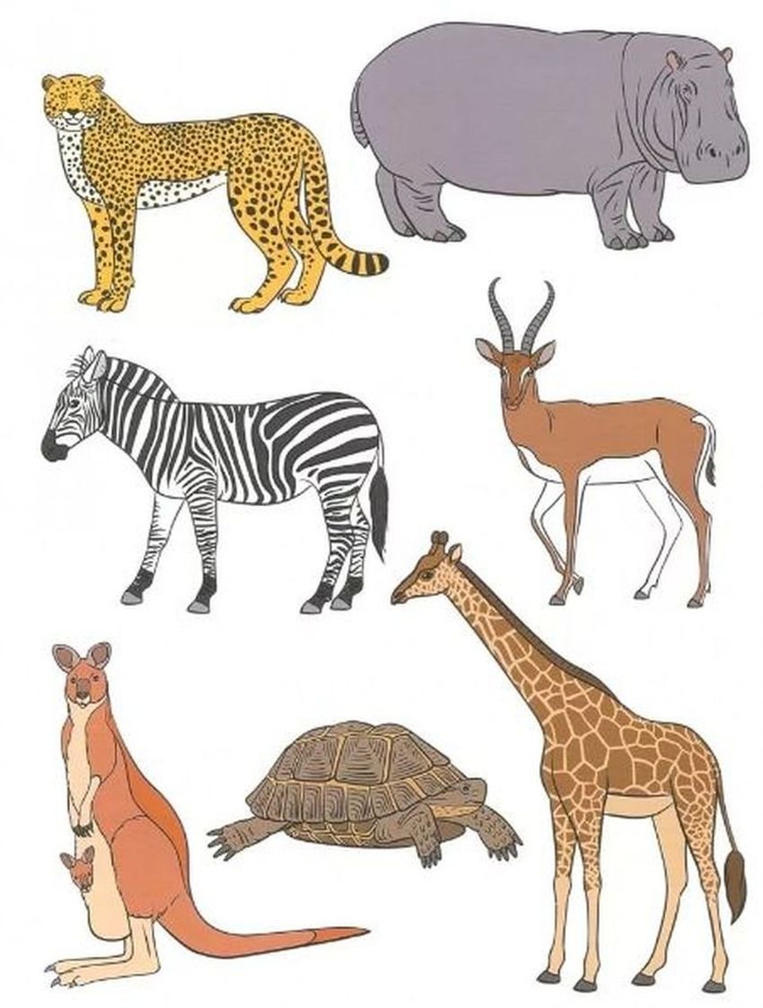 Животные африки для детейэ Животные африки