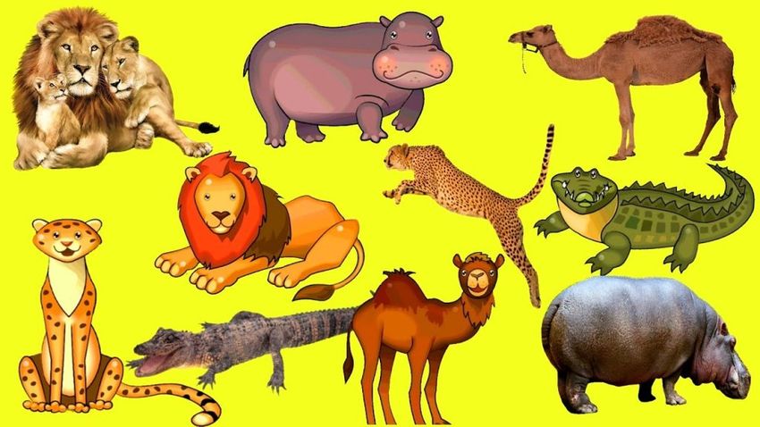 Животные африки для детей Wild animals для детей