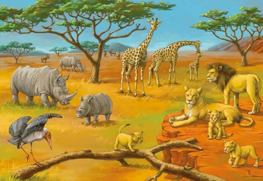 Африка для детей Животные африки для детей