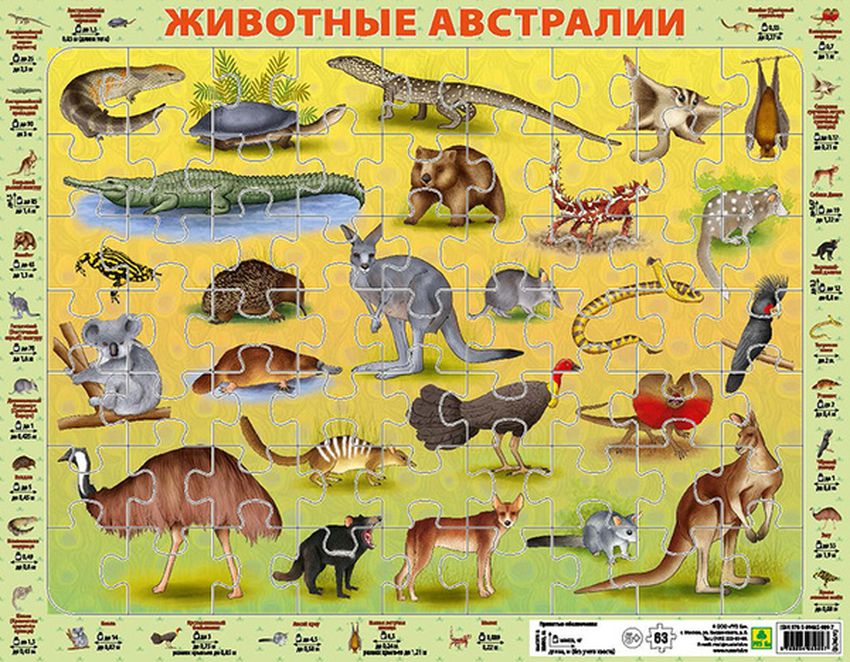 Животные австралии для детей