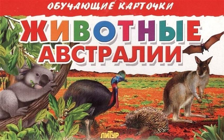 Животные австралии