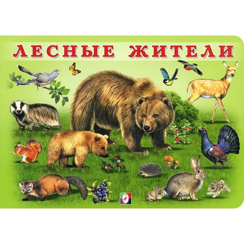 Книжка для детей лесные жители