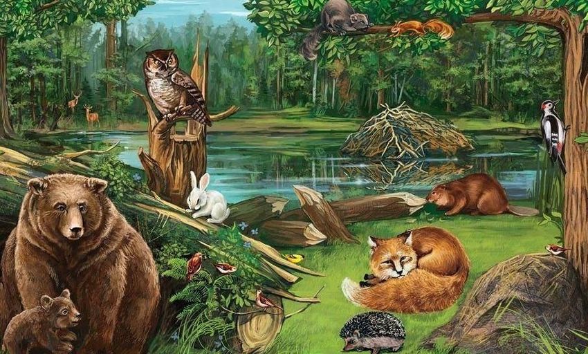 Рисунок леса с животными