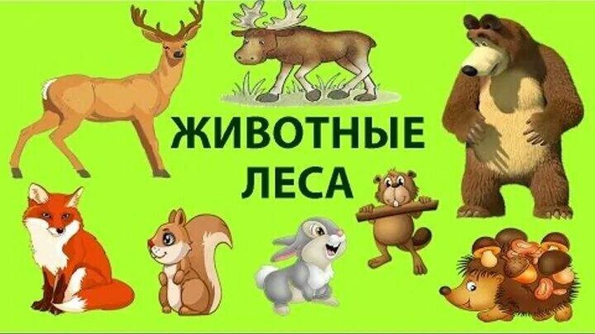Животные леса для детей