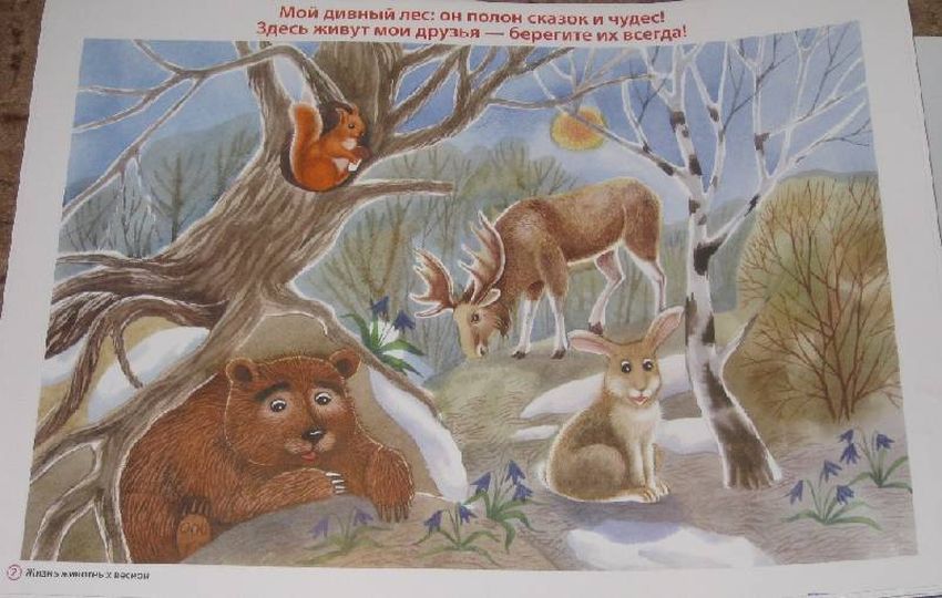 Дикие животные весной