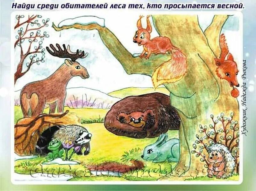 Дикие животные весной