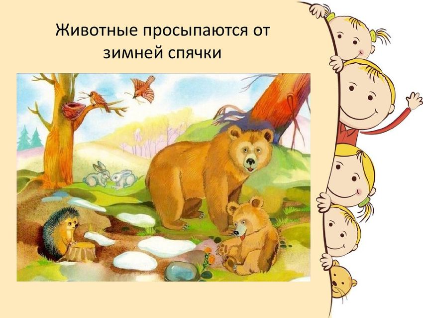 Животные весной для детей