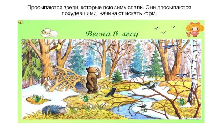 Весна в лесу