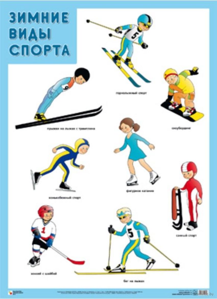 Зимние виды спорта Виды спорта