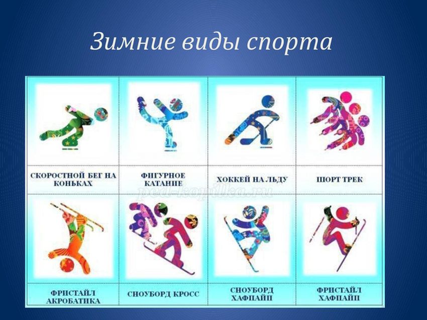 Зимние виды спорта Виды спорта