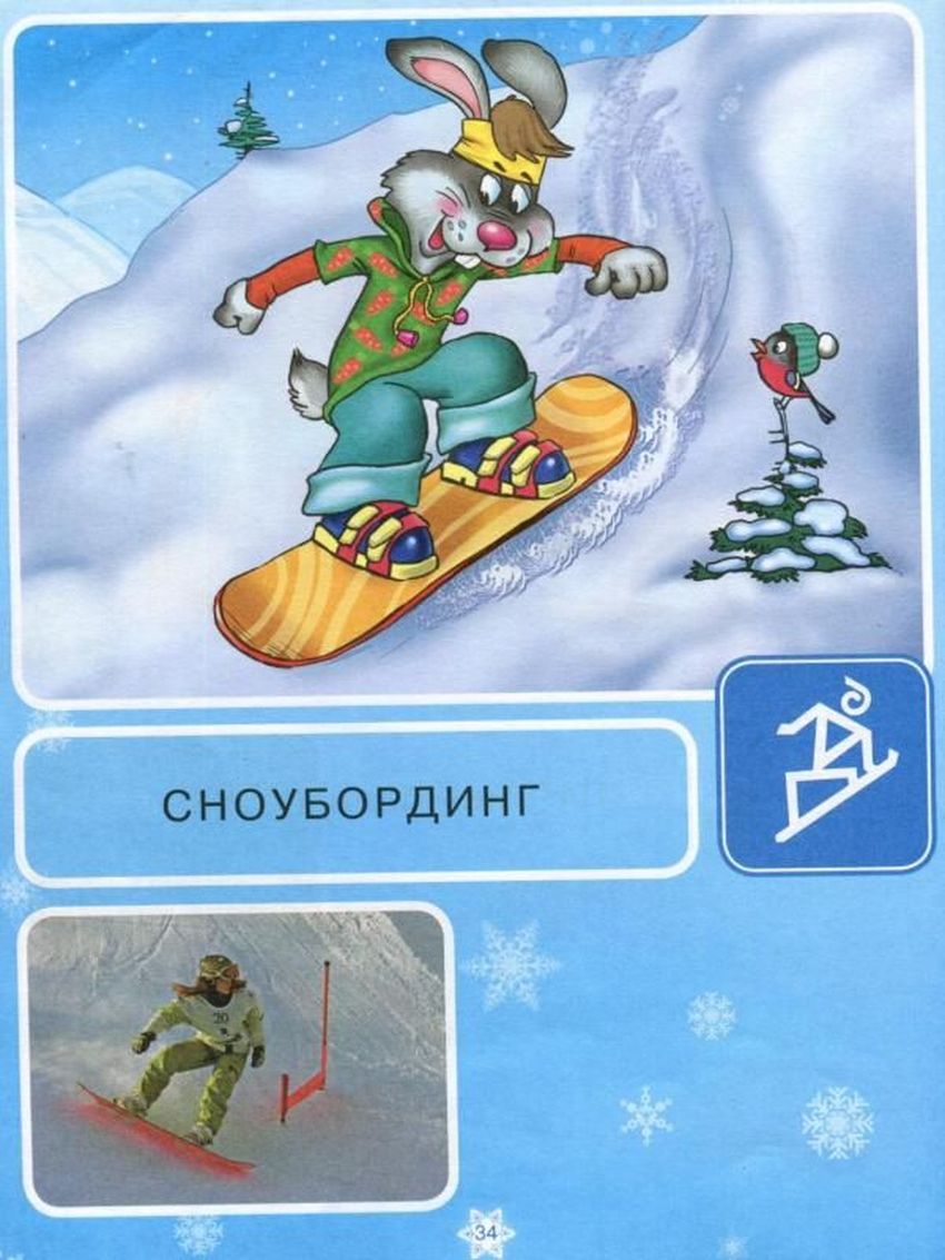 Зимние виды спорта Зимние олимпийские игры