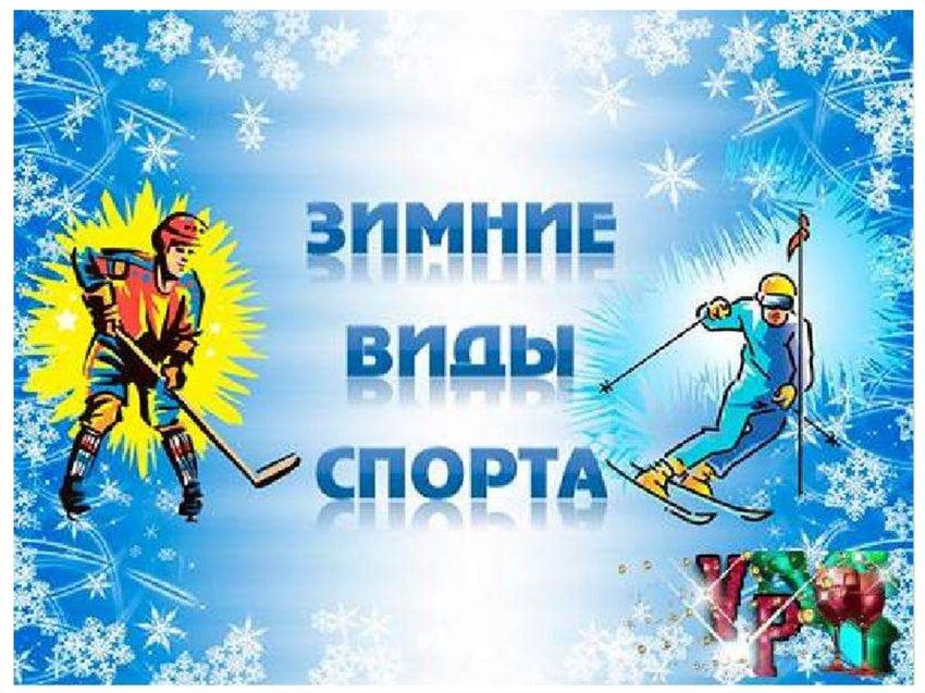 Зимние виды спорта День зимних видов спорта